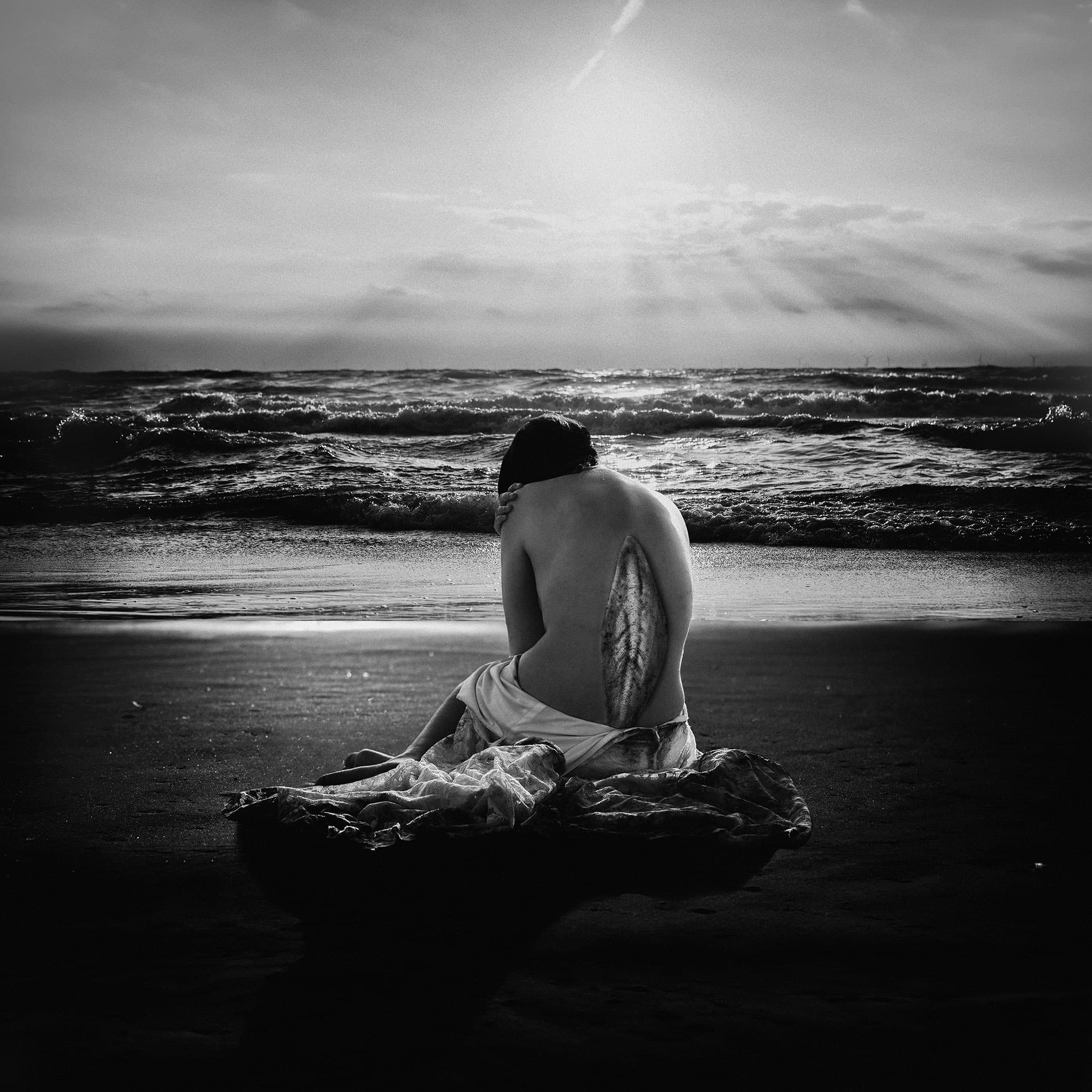 Schulpe Black and White